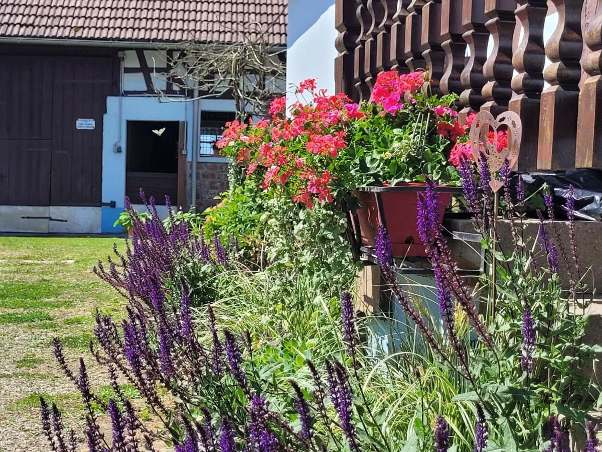 Cosy Holiday Home In Schleithal With Garden Zewnętrze zdjęcie