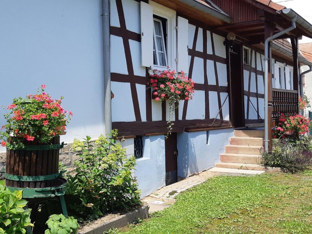 Cosy Holiday Home In Schleithal With Garden Zewnętrze zdjęcie