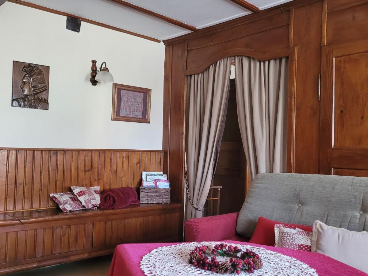 Cosy Holiday Home In Schleithal With Garden Zewnętrze zdjęcie