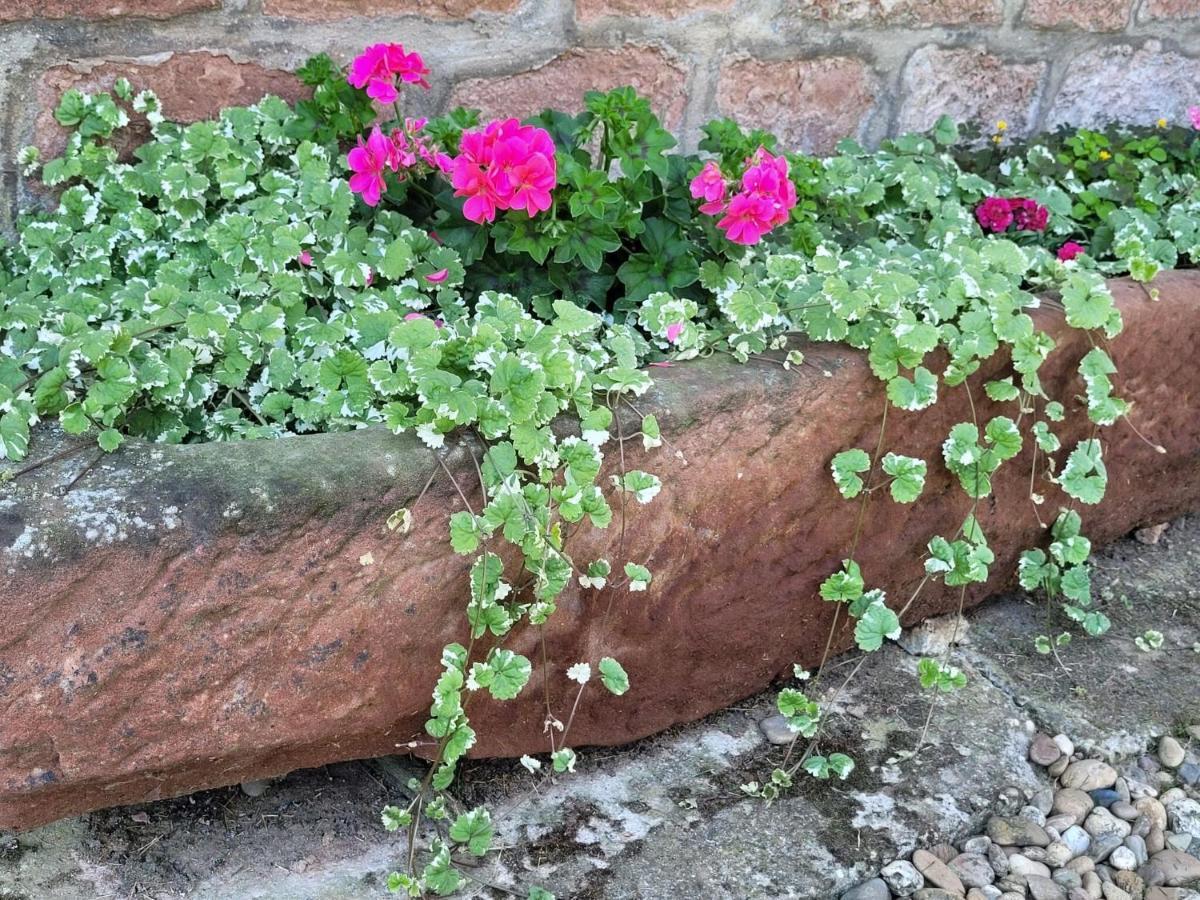 Cosy Holiday Home In Schleithal With Garden Zewnętrze zdjęcie
