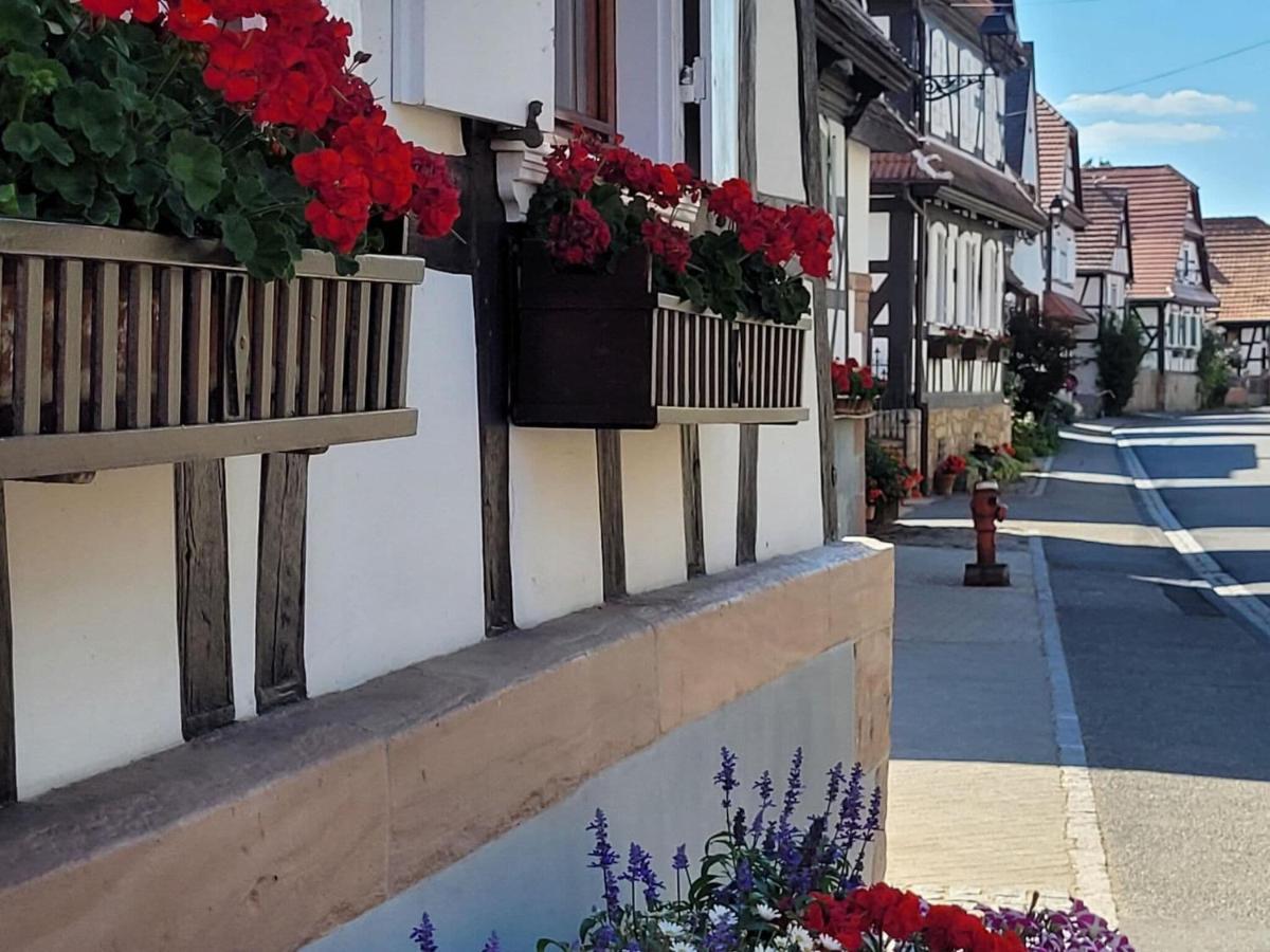 Cosy Holiday Home In Schleithal With Garden Zewnętrze zdjęcie